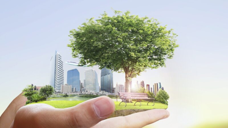 Como Investir em Ações de Empresas Sustentáveis: Construindo um Futuro Responsável