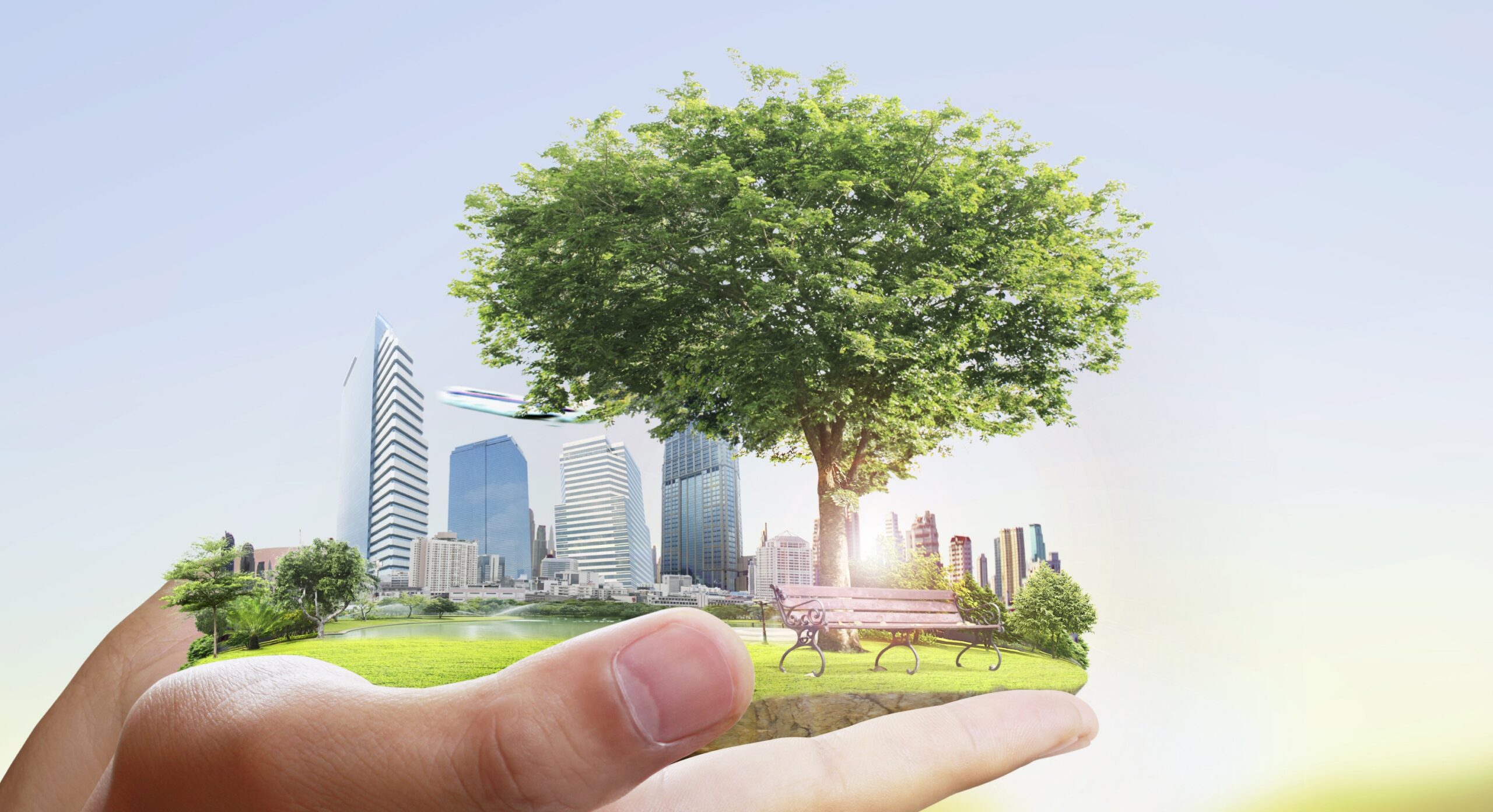 Como Investir em Ações de Empresas Sustentáveis: Construindo um Futuro Responsável